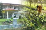 Executive Class Program UHAMZAH Medan Nomor 9